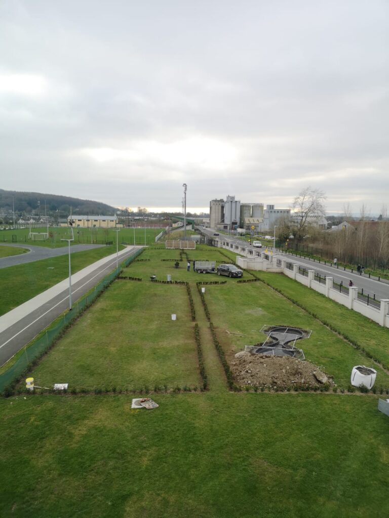 19th March - Planting the Box Hedging