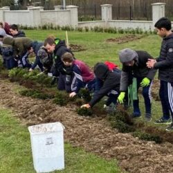 More of our eager gardeners planting the hedge