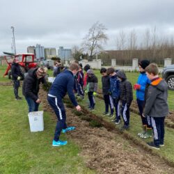 Planting the Box Hedge plants supplied by The Garden Shop, Portarlington