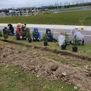 Some of the Senior Infants getting the plants ready